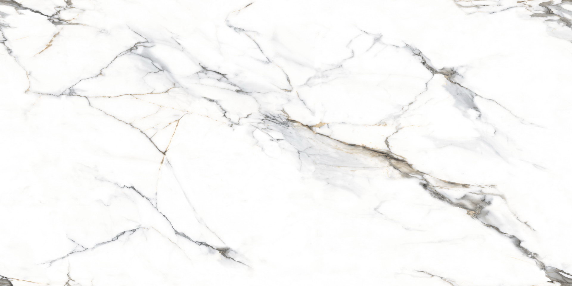 Aversa Statuario Carving  - 1