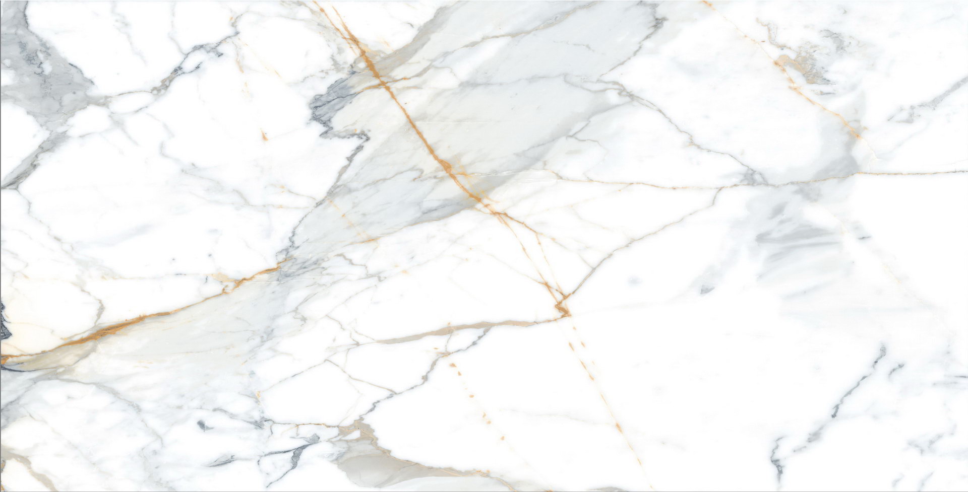 DP5194-120 Calacatta premium