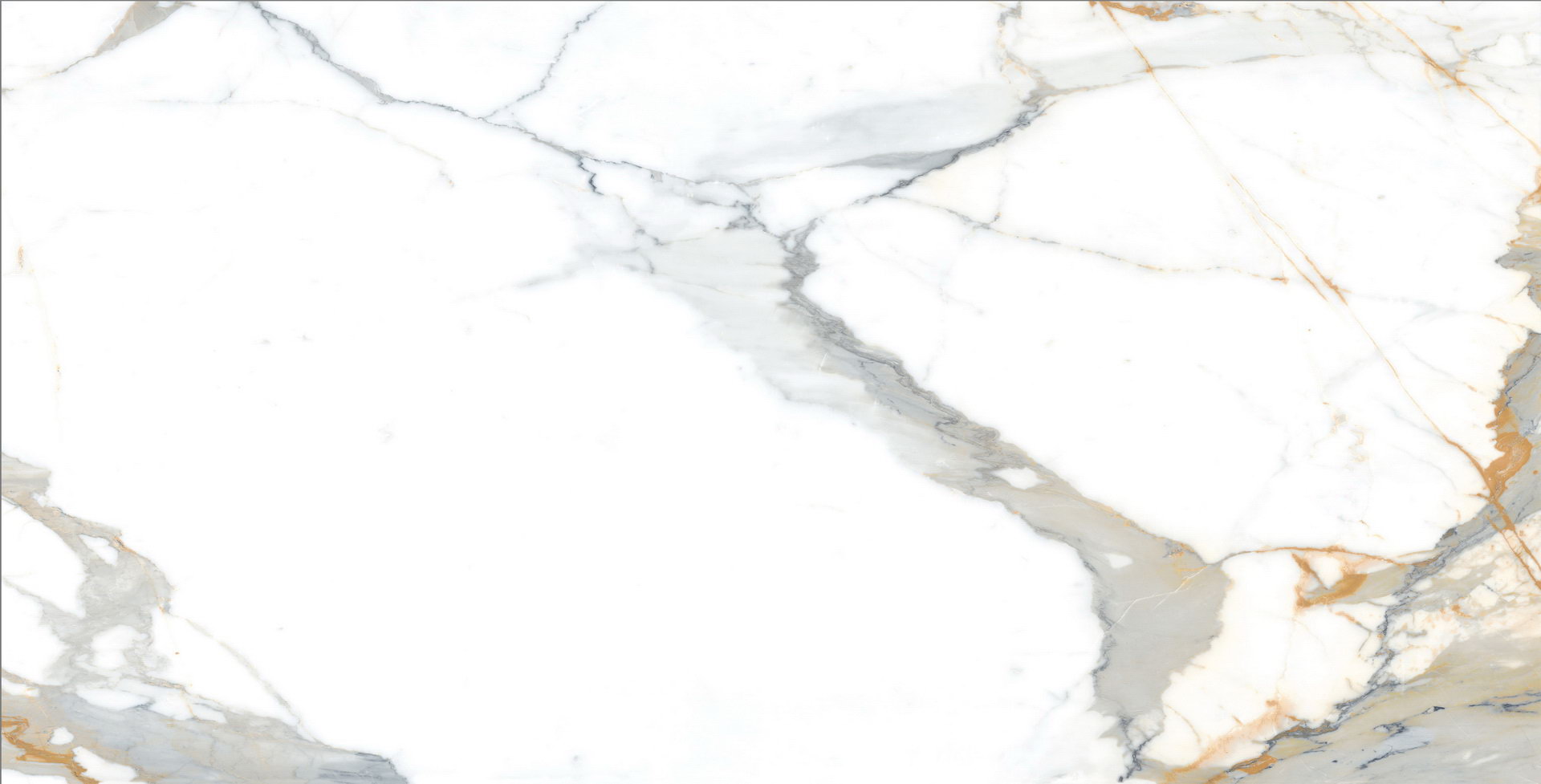 DP5194-120 Calacatta premium - 3