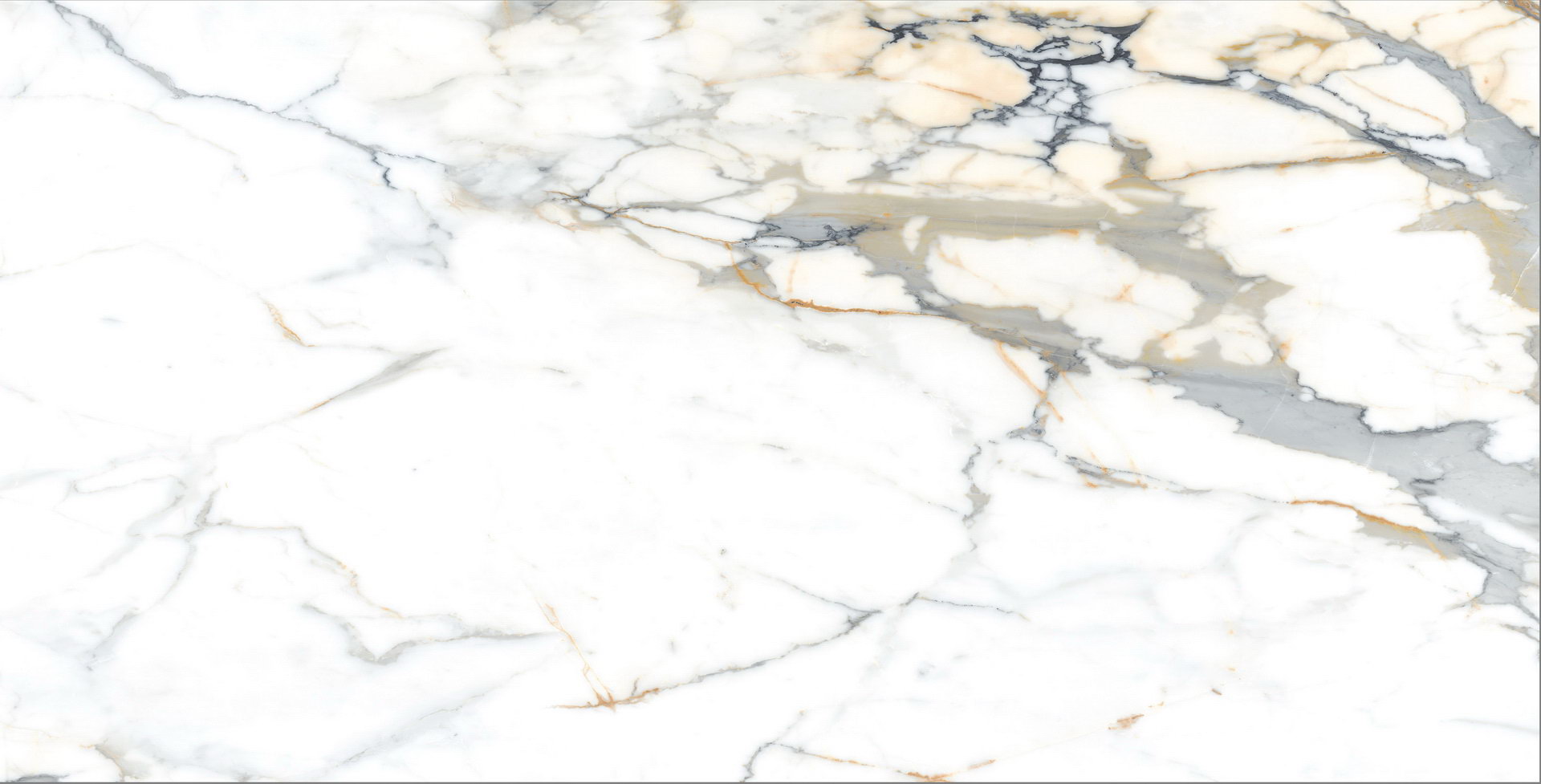 DP5194-120 Calacatta premium - 6