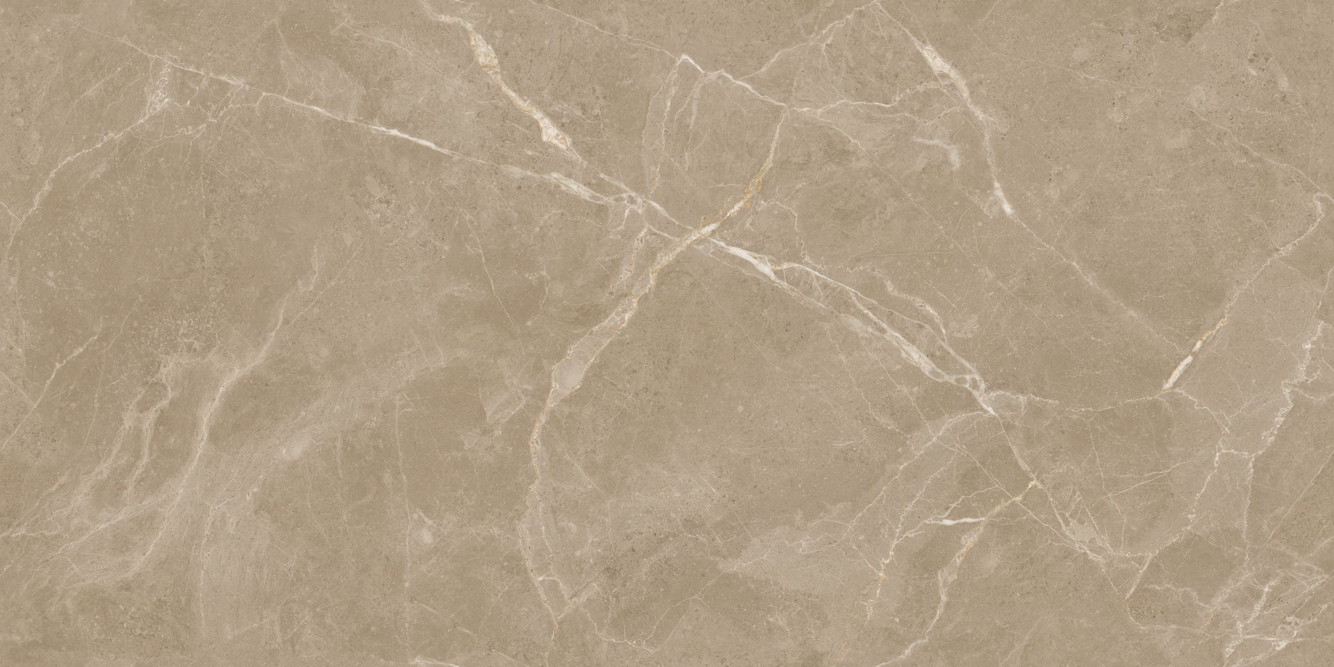 Elite Tan Carving - 1