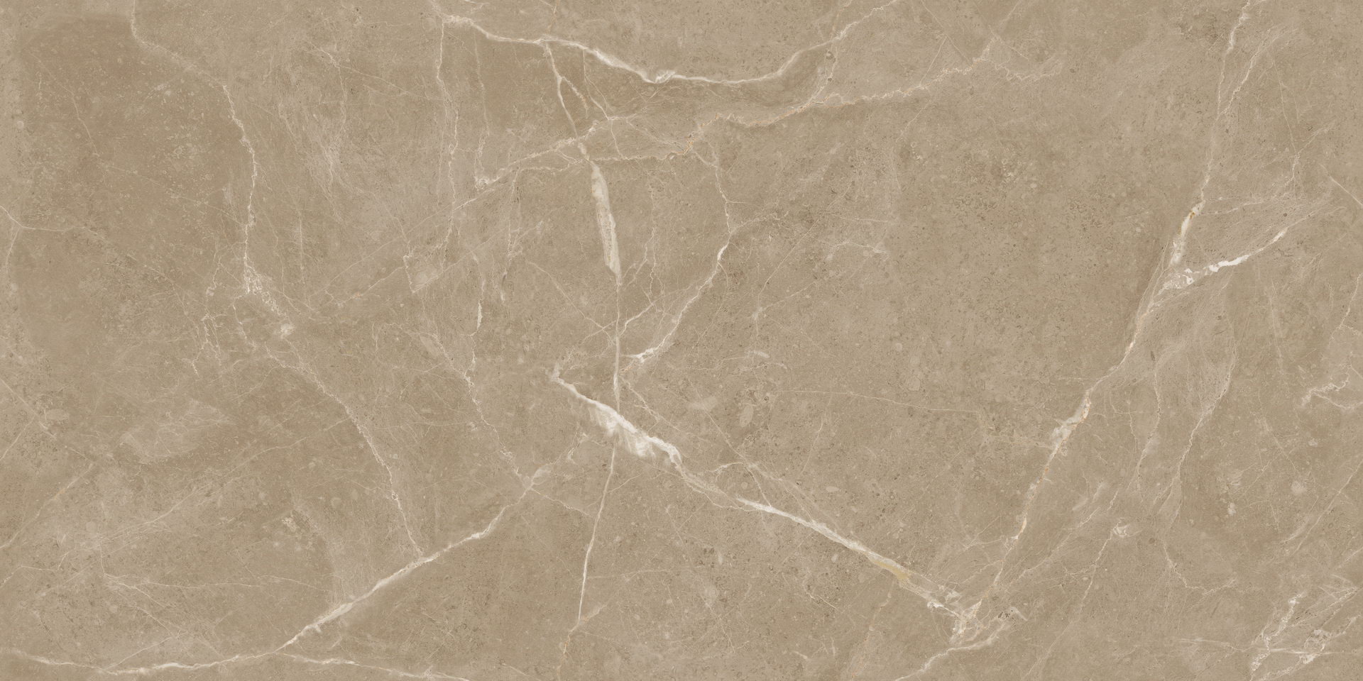 Elite Tan Carving - 2