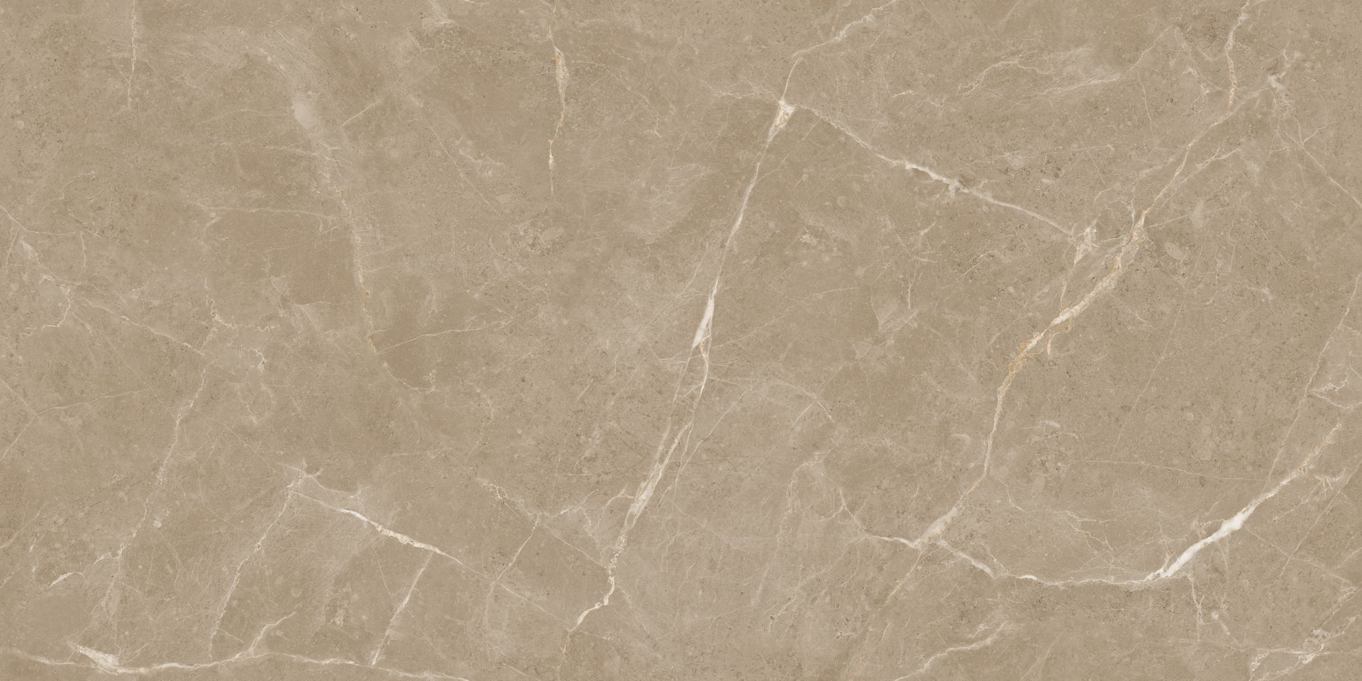 Elite Tan Carving - 3