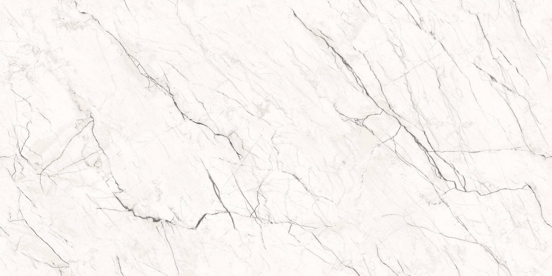 Patricia Grey Carving - 3