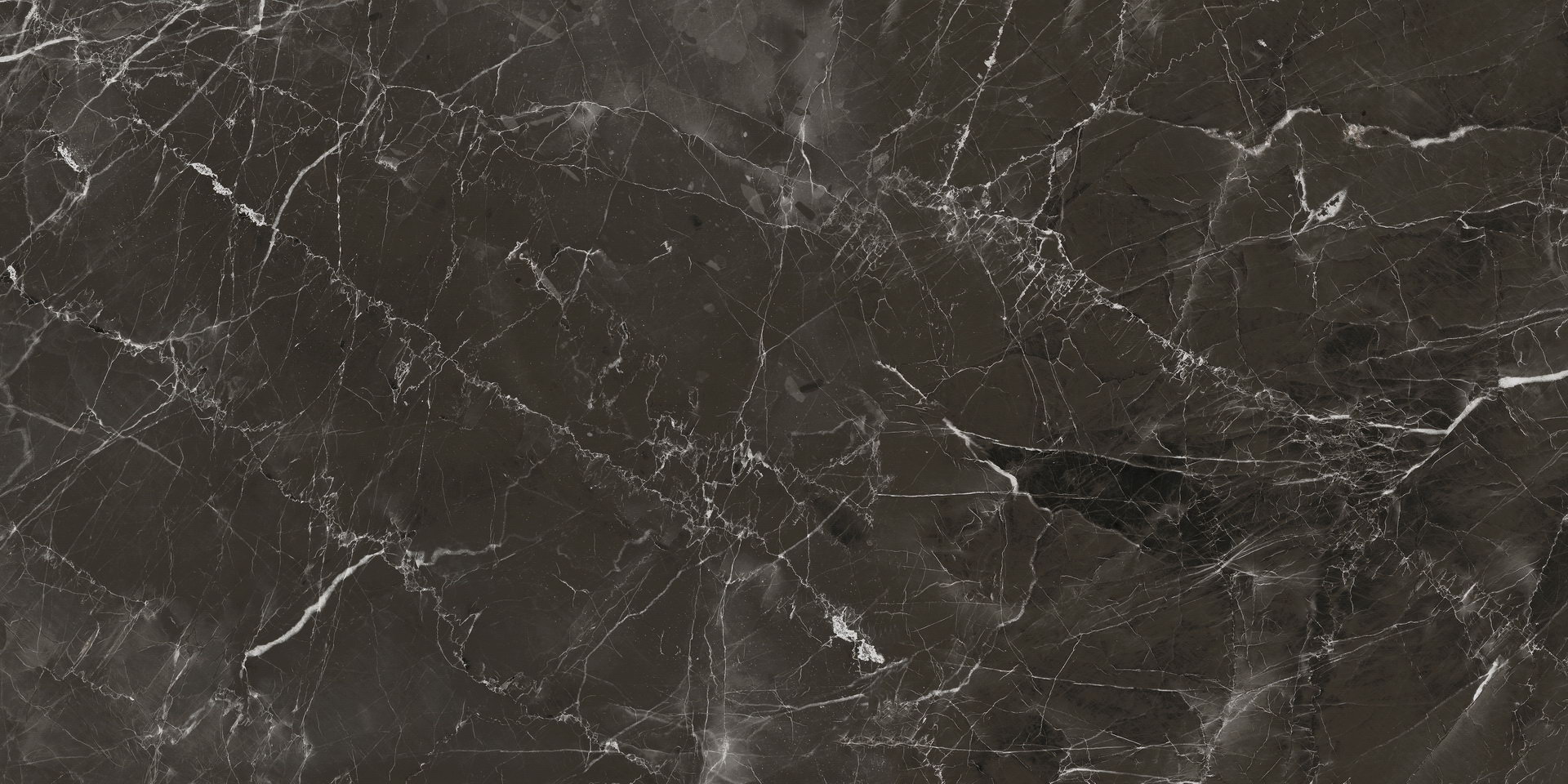 SP61208 stone brown - 3