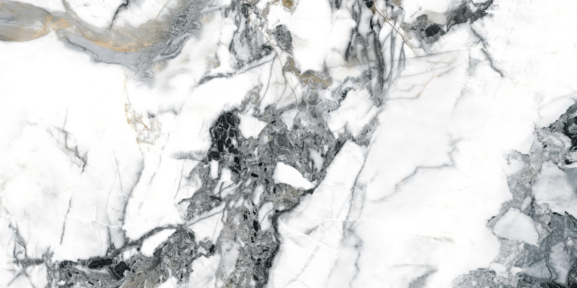 SP61210 Calacatta nature matt - 1