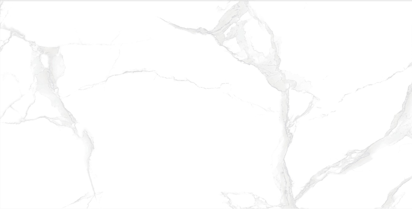 ST6121202P Cararra - 4