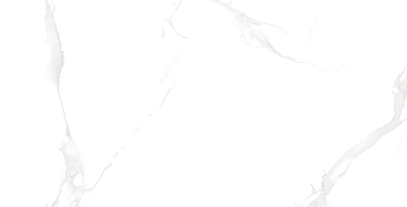 ST6121202P Cararra - 7