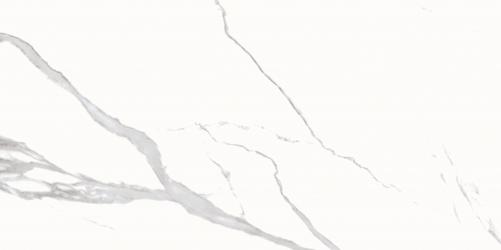 Statuario grase Carving wet - 7